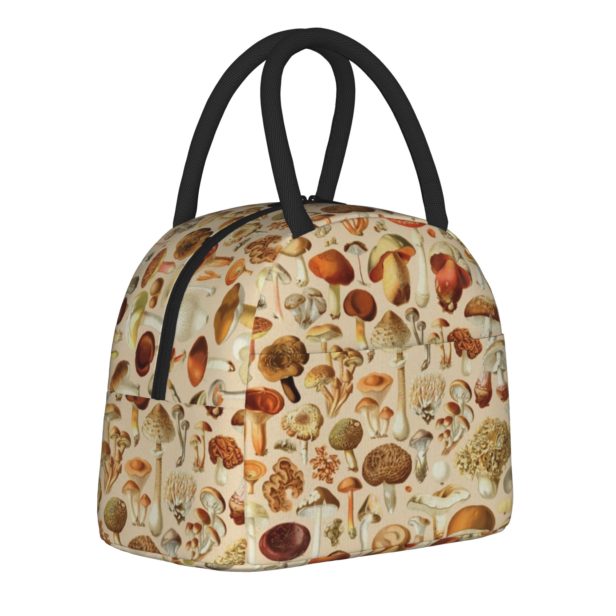 กระเป๋าเก็บอาหารกลางวันแบบมีฉน - Vintage Collectible Lunch Boxes บทวิจารณ์และราคา